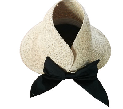 sunvisors